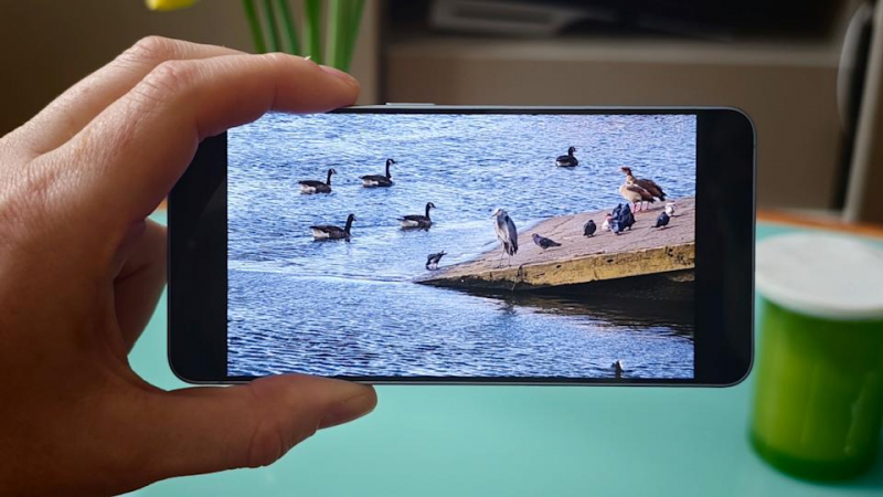 Samsung Galaxy S26 review: The smartphone status quo